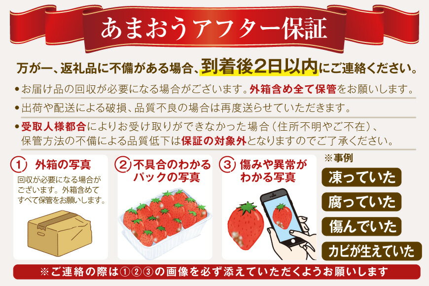 【ふるさと納税】 【期間限定発送】 いちご あまおう ボリューム セット 6p [THE FARM_strawberry 福岡県 宇美町 um40azo780006] 先行予約 イチゴ 苺 フルーツ 果物 果実 甘い あまい 小分け 6パック サムネイル3