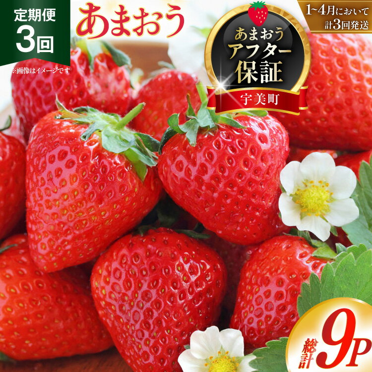 【期間限定発送】 いちご 定期便 あまおう 3パック 3回 総計9パック [THE FARM_strawberry 福岡県 宇美町 um40azo780004] 先行予約 イチゴ 苺 フルーツ 果物 果実 甘い 小分け 定期 あまい