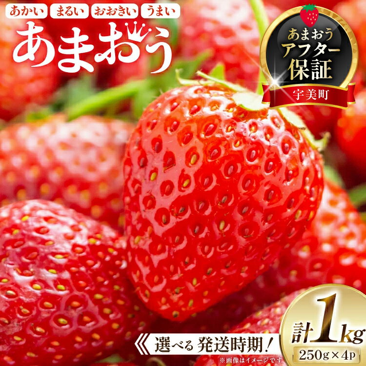 期間限定 いちご あまおう 250g× 4パック 選べる発送月 [増田青果 福岡県 宇美町 um40beq650000] 先行予約 苺 イチゴ フルーツ 果物 果実 甘い あまい 季節限定