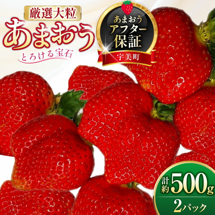 いちご 厳選大粒 あまおう 約250g〜270g 2パック 計約 500g [THE FARM_strawberry 福岡県 宇美町 um40azo780013] 苺 イチゴ フルーツ 果物 果実 くだもの 甘い あまい 大粒