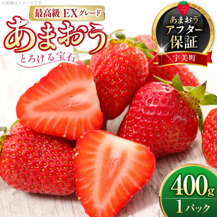 いちご あまおう プレミアムEX 400g 1パック 化粧箱入り[THE FARM_strawberry 福岡県 宇美町 um40azo780014] 苺 イチゴ 甘い あまい フルーツ 果物 果実