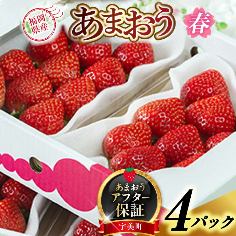 【期間限定発送】 いちご あまおう 福岡産 春 4パック [南国フルーツ 福岡県 宇美町 um40azo970002] 先行予約 イチゴ 苺 フルーツ 果物 果実 甘い 小分け あまい
