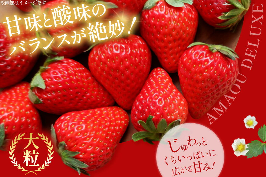 【ふるさと納税】 【期間限定発送】 いちご あまおう デラックス 4p [THE FARM_strawberry 福岡県 宇美町 um40azo780001] 先行予約 イチゴ 苺 フルーツ 果物 果実 甘い あまい 小分け 4パック サムネイル2