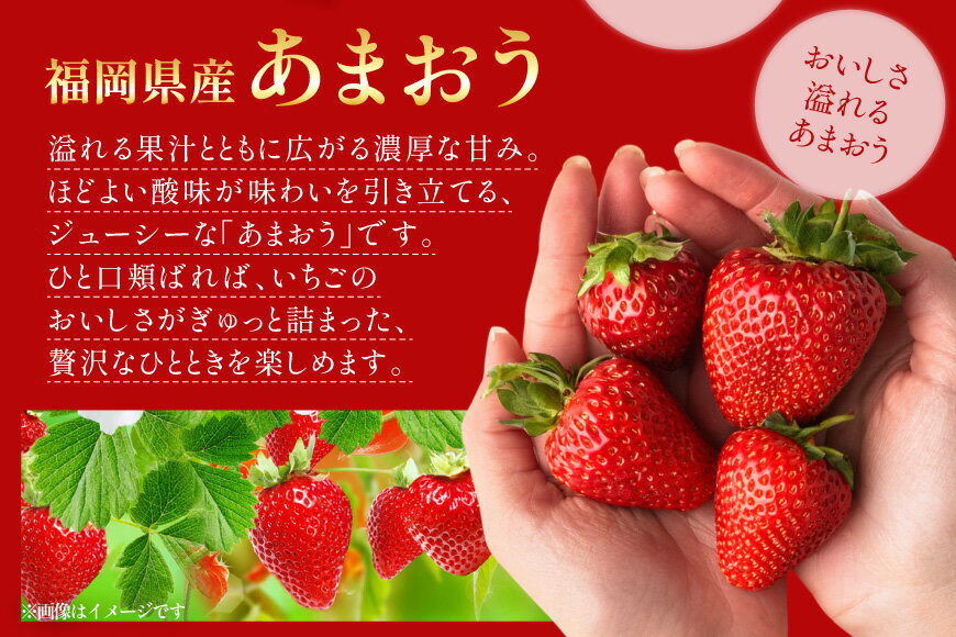 【ふるさと納税】 【期間限定発送】 いちご あまおう デラックス 4p [THE FARM_strawberry 福岡県 宇美町 um40azo780001] 先行予約 イチゴ 苺 フルーツ 果物 果実 甘い あまい 小分け 4パック サムネイル3