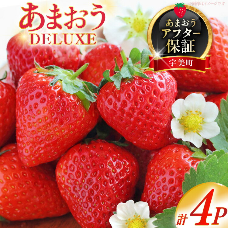 【期間限定発送】 いちご あまおう デラックス 4p [THE FARM_strawberry 福岡県 宇美町 um40azo780001] 先行予約 イチゴ 苺 フルーツ 果物 果実 甘い あまい 小分け 4パック