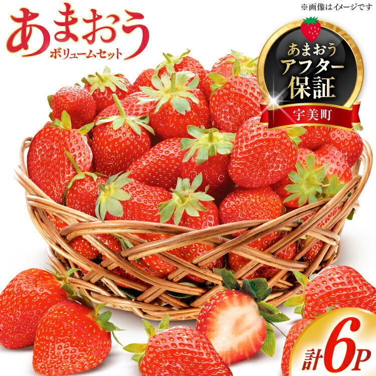 【期間限定発送】 いちご あまおう ボリューム セット 6p [THE FARM_strawberry 福岡県 宇美町 um40azo780006] 先行予約 イチゴ 苺 フルーツ 果物 果実 甘い あまい 小分け 6パック