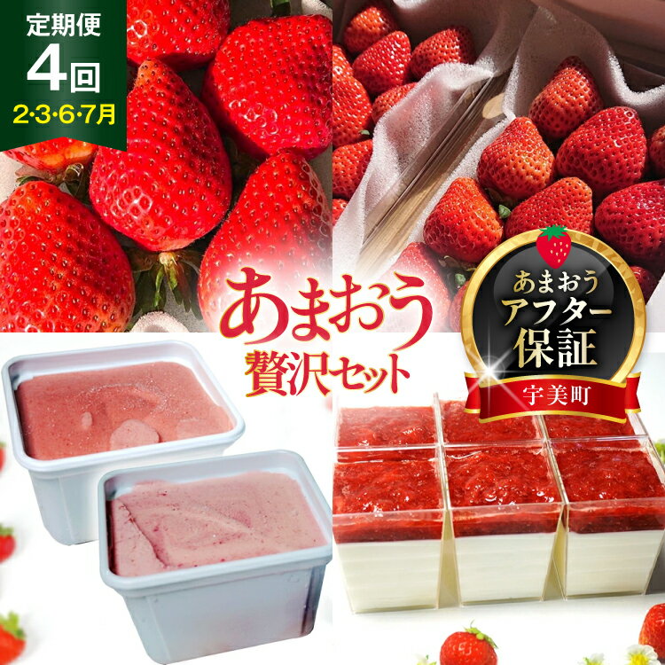 【期間限定発送】 いちご 定期便 大粒あまおう DXあまおう ジェラート 2種 レアチーズケーキ 6p 詰め合わせ [THE FARM_strawberry 福岡県 宇美町 um40azo780010] イチゴ 苺 フルーツ 果実 甘い 小分け 冷凍 アイス ケーキ チーズケーキ 定期