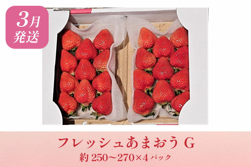 【ふるさと納税】 いちご あまおう 満喫セット 3回 定期便 [THE FARM_strawberry 福岡県 宇美町 um40azo780015] 苺 イチゴ 冷凍いちご 冷凍あまおう 冷凍イチゴ 冷凍苺 甘い あまい アイス ジェラート シャーベット フルーツ 果物 定期 サムネイル3