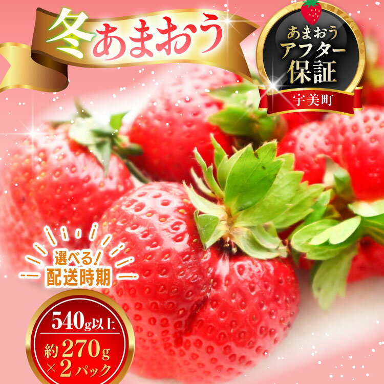 【年内発送】選べる 発送時期 いちご あまおう 冬あまおう 270g以上 2p 計540g以上 [ストロベリーファーム 福岡県 宇美町 um40azp070002] 先行予約 イチゴ 苺 フルーツ 果物 果実 甘い 小分け あまい 2パック 期間限定発送