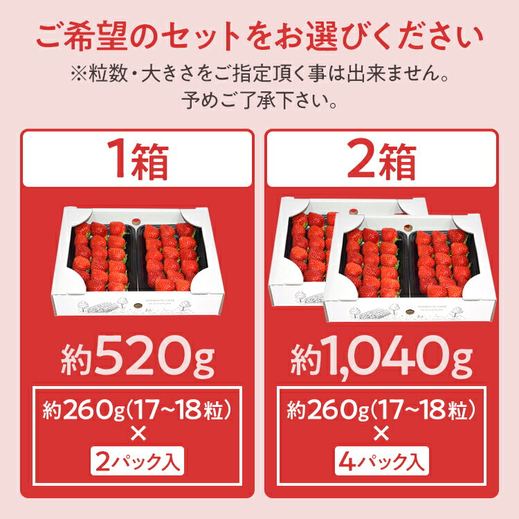 【ふるさと納税】ふくおかエコ農作物認証あまおう M～Lサイズ【選べる】 あまおう イチゴ 苺 いちご フルーツ 果物 くだもの 福岡県産 お取り寄せグルメ お取り寄せ 福岡 お土産 九州 福岡土産 取り寄せ グルメ 福岡県 サムネイル3