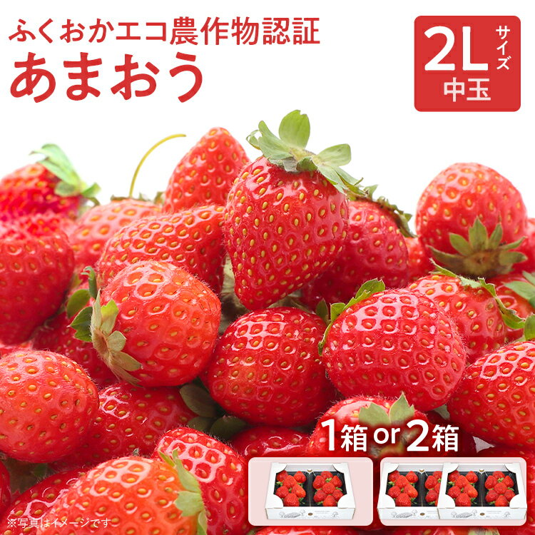 ふくおかエコ農作物認証あまおう 2Lサイズ【選べる】 あまおう イチゴ 苺 いちご フルーツ 果物 くだもの 福岡県産 お取り寄せグルメ お取り寄せ 福岡 お土産 九州 福岡土産 取り寄せ グルメ 福岡県
