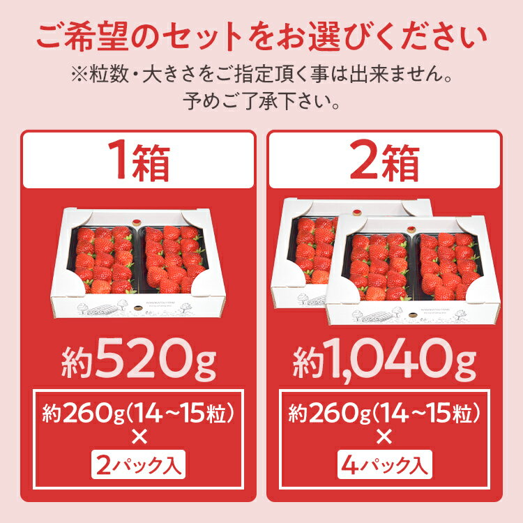 【ふるさと納税】ふくおかエコ農作物認証あまおう 2Lサイズ【選べる】 あまおう イチゴ 苺 いちご フルーツ 果物 くだもの 福岡県産 お取り寄せグルメ お取り寄せ 福岡 お土産 九州 福岡土産 取り寄せ グルメ 福岡県 サムネイル3