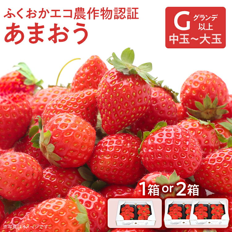 ふくおかエコ農作物認証あまおう G以上【選べる】 あまおう イチゴ 苺 いちご フルーツ 果物 くだもの 福岡県産 お取り寄せグルメ お取り寄せ 福岡 お土産 九州 福岡土産 取り寄せ グルメ 福岡県