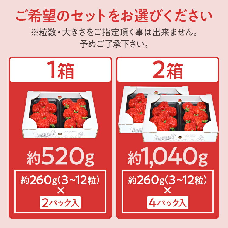 【ふるさと納税】ふくおかエコ農作物認証あまおう G以上【選べる】 あまおう イチゴ 苺 いちご フルーツ 果物 くだもの 福岡県産 お取り寄せグルメ お取り寄せ 福岡 お土産 九州 福岡土産 取り寄せ グルメ 福岡県 サムネイル3