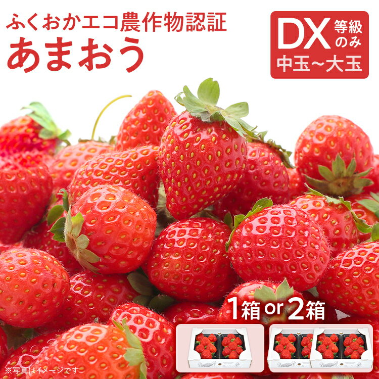 ふくおかエコ農作物認証あまおう DX等級のみ【選べる】 あまおう イチゴ 苺 いちご フルーツ 果物 くだもの 福岡県産 お取り寄せグルメ お取り寄せ 福岡 お土産 九州 福岡土産 取り寄せ グルメ 福岡県