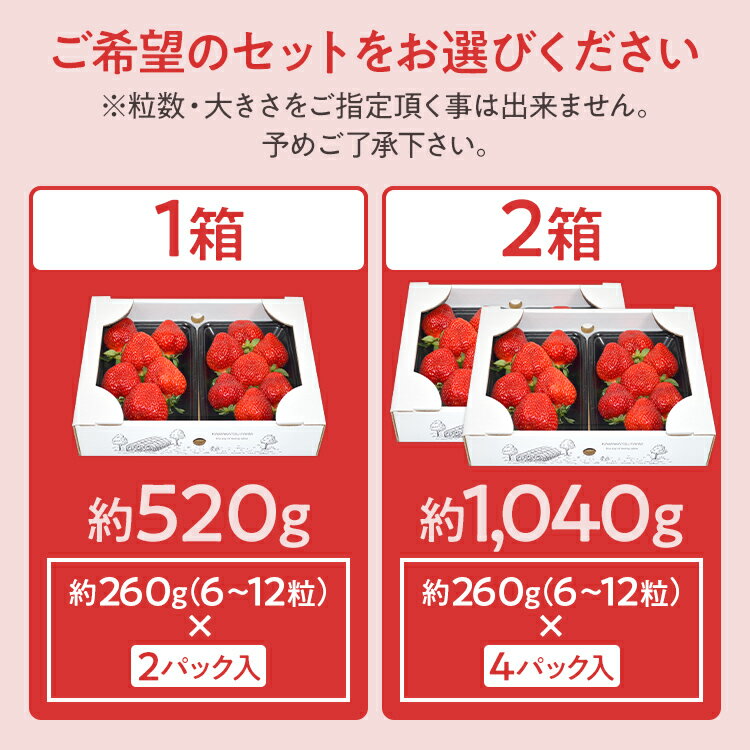 【ふるさと納税】ふくおかエコ農作物認証あまおう DX等級のみ【選べる】 あまおう イチゴ 苺 いちご フルーツ 果物 くだもの 福岡県産 お取り寄せグルメ お取り寄せ 福岡 お土産 九州 福岡土産 取り寄せ グルメ 福岡県 サムネイル3