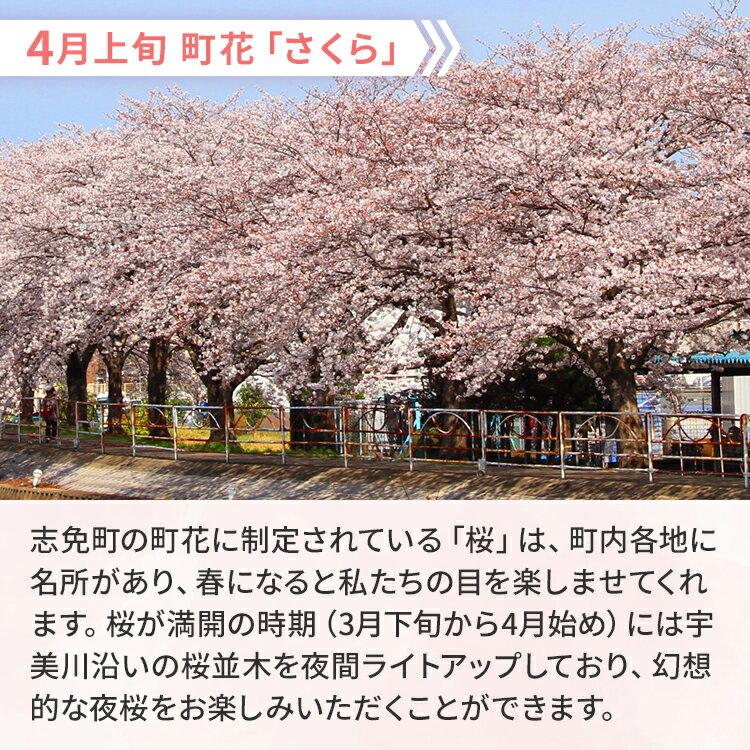 【ふるさと納税】福岡県志免町の対象施設で使える楽天トラベルクーポン 寄付額 100,000円（クーポン30,000円分） サムネイル2
