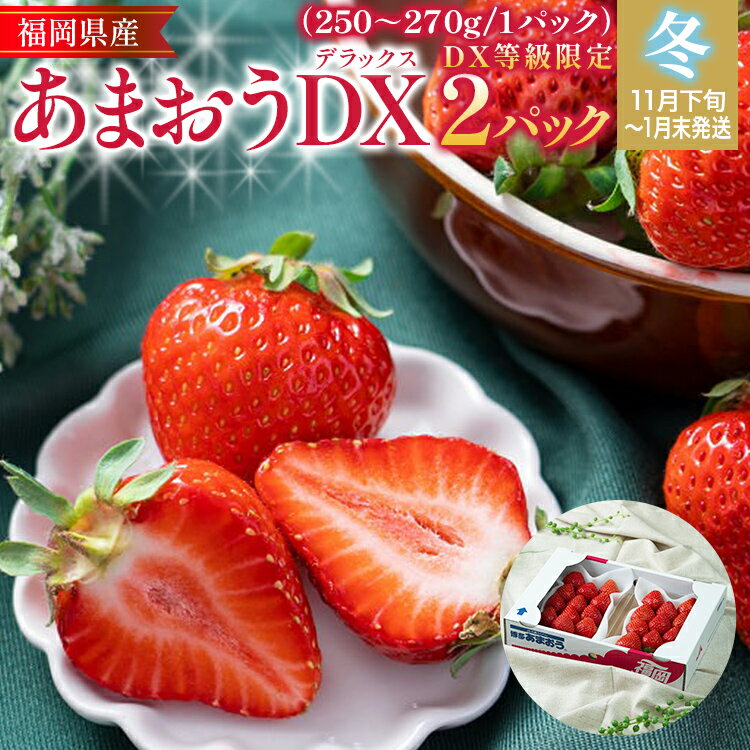 福岡産【冬】あまおうDX（デラックス）2パック いちご 苺 果物 フルーツ 九州産 福岡県産 冷蔵 送料無料 【11月下旬発送開始予定】 イチゴ フルーツ 果物 くだもの ブランド 国産 甘味 果汁