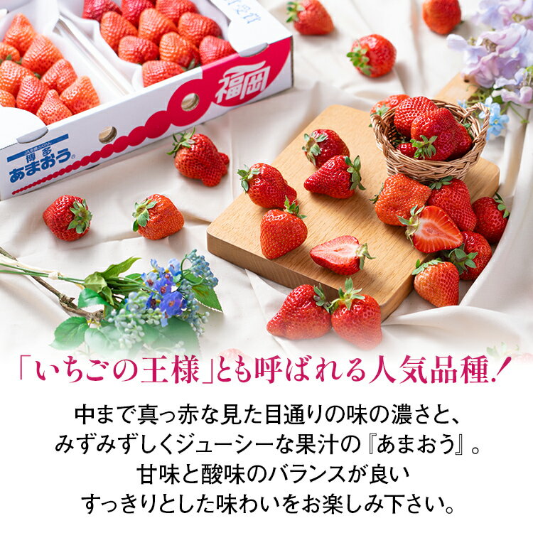 【ふるさと納税】福岡産【冬】あまおうDX（デラックス）2パック いちご 苺 果物 フルーツ 九州産 福岡県産 冷蔵 送料無料 【11月下旬発送開始予定】 イチゴ フルーツ 果物 くだもの ブランド 国産 甘味 果汁 サムネイル3