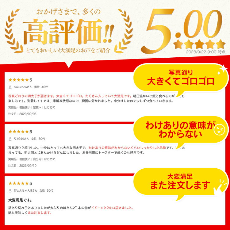 【ふるさと納税】 【レビューキャンペーン】訳あり 選べる 無着色 明太子 辛子明太子 (特切) 規格外 不揃い 高評価 ☆4.86 特上 1kg 2kg たっぷり 大容量 一本物 海鮮 魚介 お取り寄せ わけあり 理由あり 切れ子 切子 めんたいこ グルメ 福岡 業務用 サムネイル2