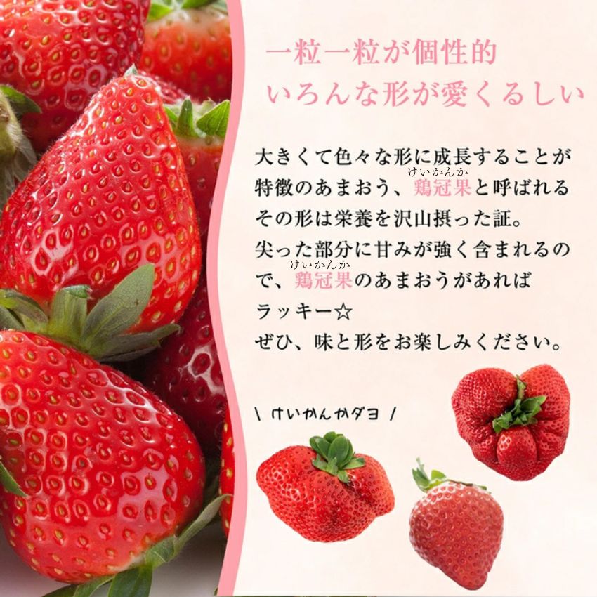 【ふるさと納税】【先行予約】福岡県産あまおう 選べる 2パック～6パック ※年内発送 農家直送 冬あまおう [TY012-0] ※配送不可：北海道・沖縄・離島【福岡県須恵町】いちご イチゴ 苺 フルーツ 果物 国産 九州 送料無料 サムネイル3