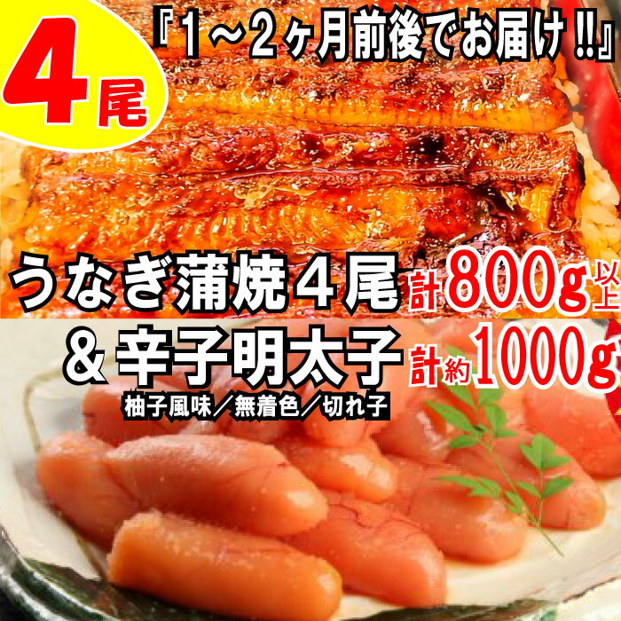 うなぎの蒲焼4尾＆無着色辛子明太子1キロ【ご飯のお供！最強セット】 鰻 たれ 山椒 訳あり めんたいこ 切れ子 柚子風味 1kg .BD015
