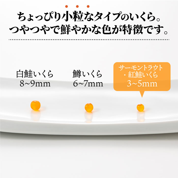 【ふるさと納税】いくら醤油漬（サーモントラウト・紅鮭）400g（200g×2パック）.A1594 サムネイル3