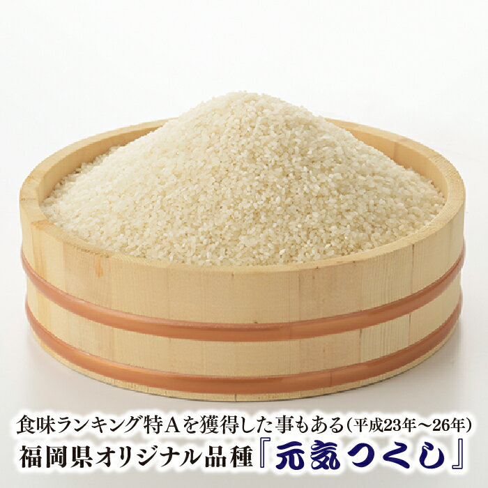 【ふるさと納税】特Aも獲得した自慢のお米『元気つくし』5kg 国産 白米 精米 ご飯【元気つくし】.AE226 - 画像2