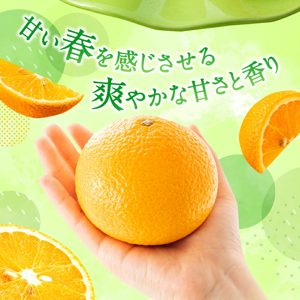 【ふるさと納税】【予約受付・期間限定商品】福岡柑橘王国・スイートスプリング／約8kg(2026年1月〜2月配送予定）みかん フルーツ 旬 季節 果物.AA091 サムネイル2