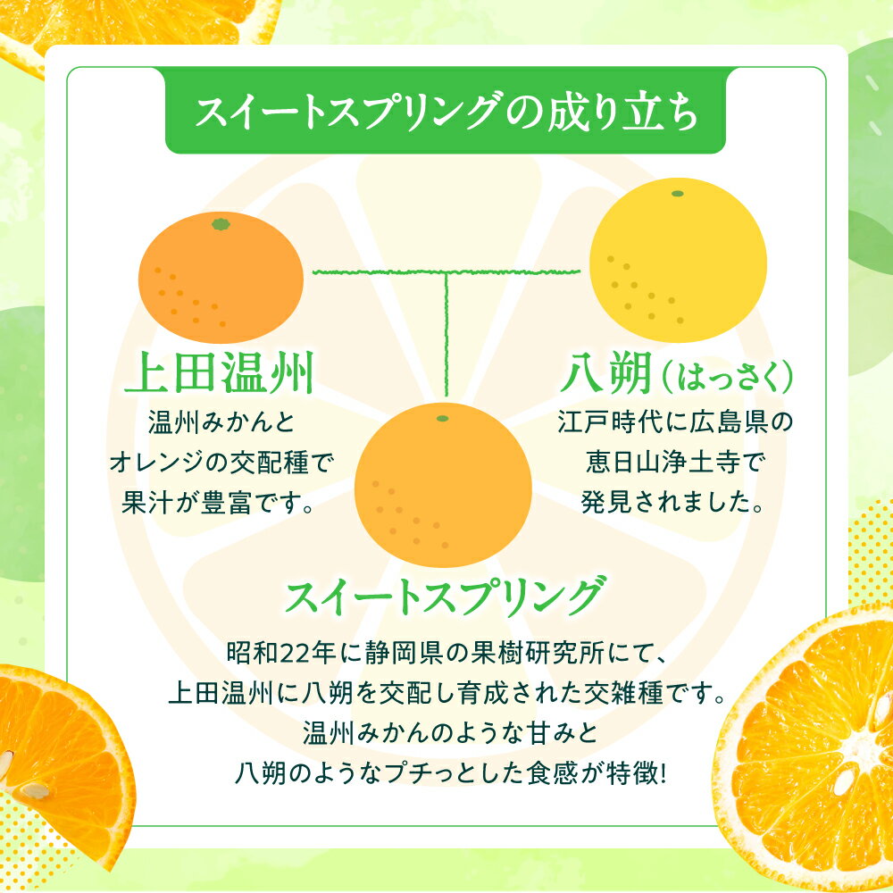 【ふるさと納税】【予約受付・期間限定商品】福岡柑橘王国・スイートスプリング／約8kg(2026年1月〜2月配送予定）みかん フルーツ 旬 季節 果物.AA091 サムネイル3