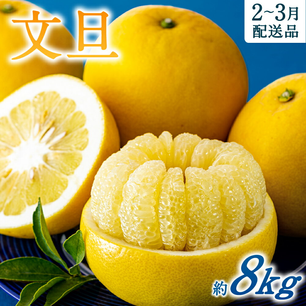 【予約受付・期間限定商品】福岡柑橘王国・文旦(2026年2月〜3月配送予定) ぶんたん ぼんたん 南国 フルーツ 旬 季節 果物.AA092