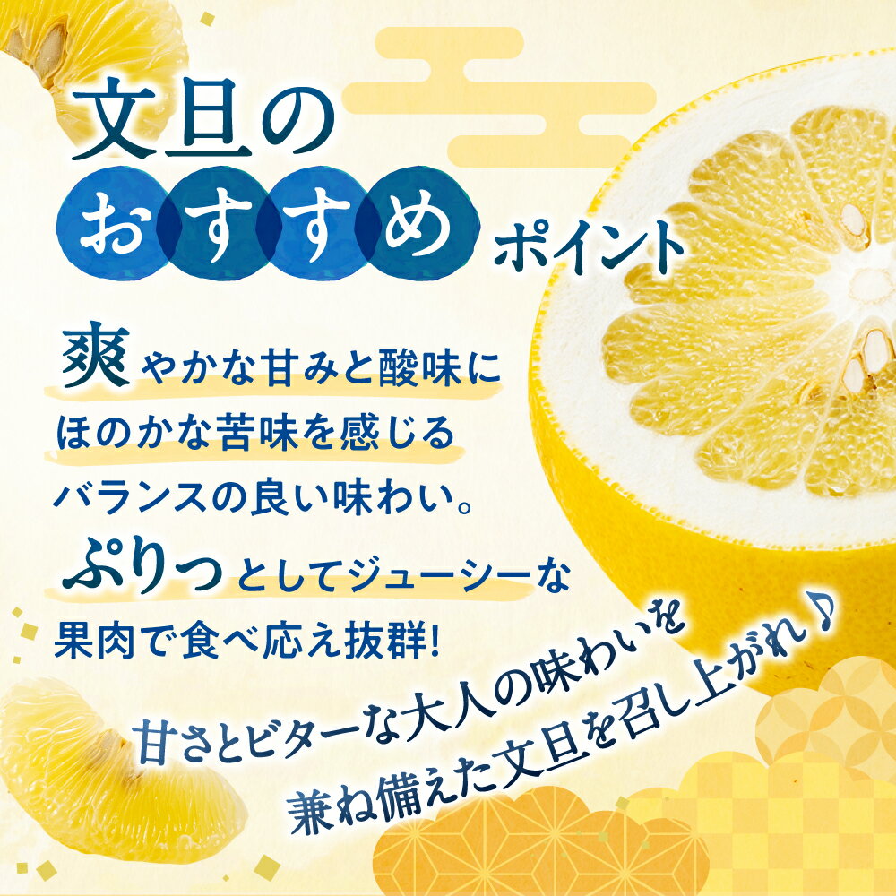 【ふるさと納税】【予約受付・期間限定商品】福岡柑橘王国・文旦(2026年2月〜3月配送予定) ぶんたん ぼんたん 南国 フルーツ 旬 季節 果物.AA092 サムネイル3