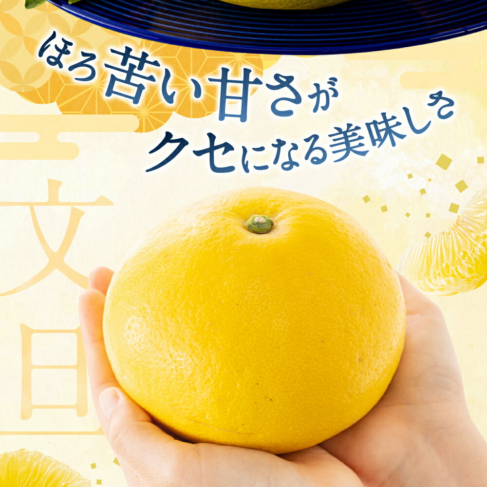 【ふるさと納税】【予約受付・期間限定商品】福岡柑橘王国・文旦(2026年2月〜3月配送予定) ぶんたん ぼんたん 南国 フルーツ 旬 季節 果物.AA092 サムネイル2