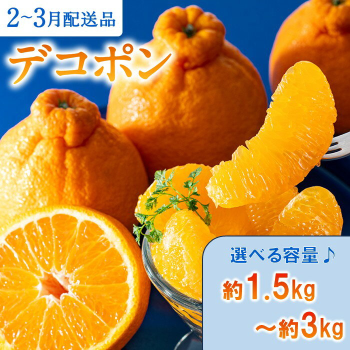【昨年も大人気】デコポン（約1.5kg～約3kg程度）／2027年2月～3月配送（選べる容量） 不知火 柑橘 フルーツ