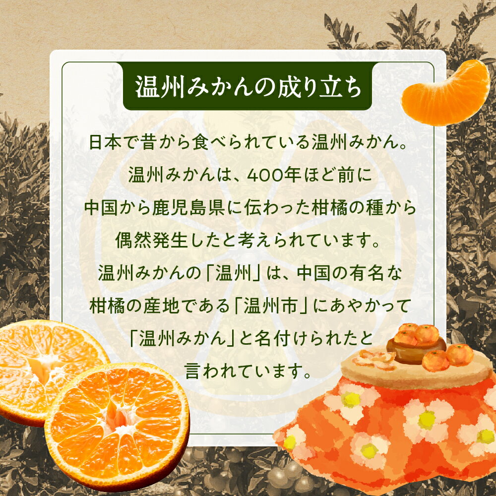 【ふるさと納税】温州みかん（5キロ程度）／2025年11月〜2026年1月配送 産地直送 ミカン.AA074 サムネイル3
