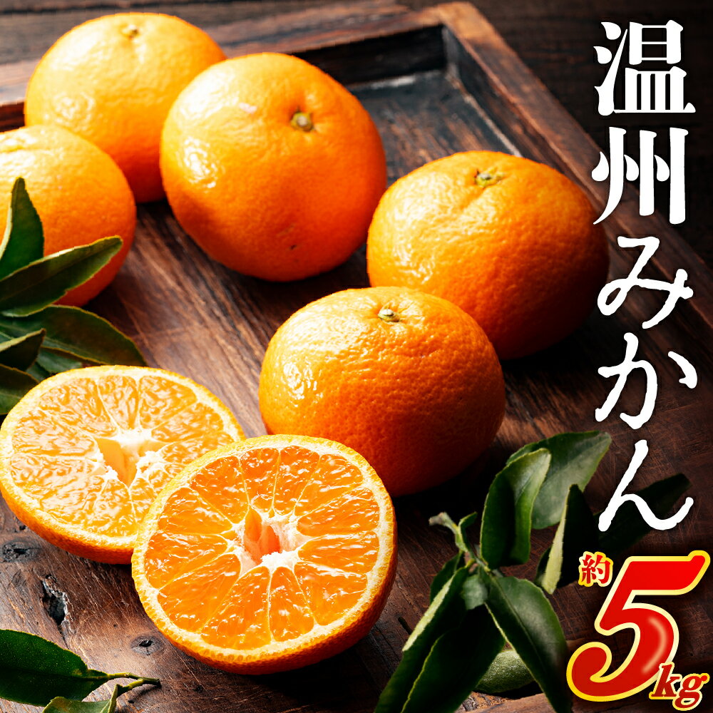 温州みかん（5キロ程度）／2025年11月〜2026年1月配送 産地直送 ミカン.AA074