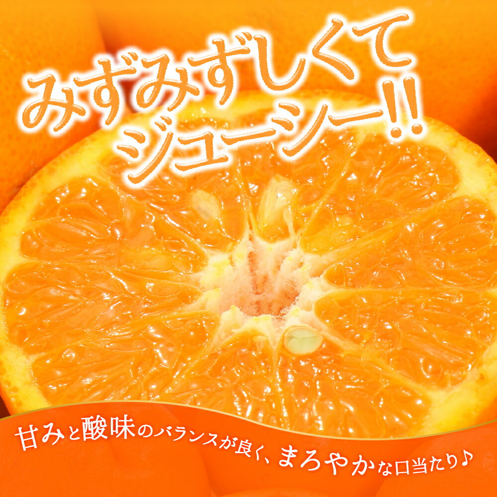 【ふるさと納税】ぽんかん（5kg程度）／2025年12月〜2026年1月配送予定 ポンカン 柑橘 産地直送. AA076 サムネイル3