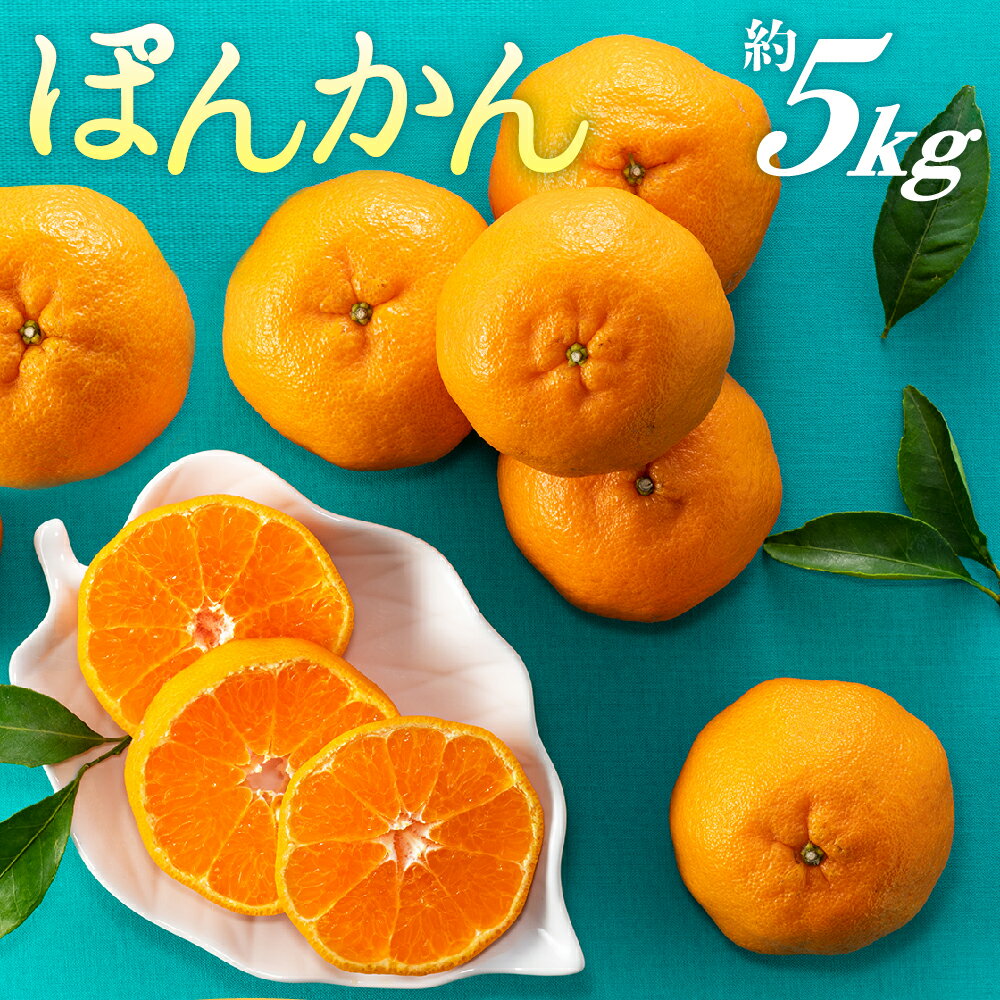 ぽんかん（5kg程度）／2025年12月〜2026年1月配送予定 ポンカン 柑橘 産地直送. AA076