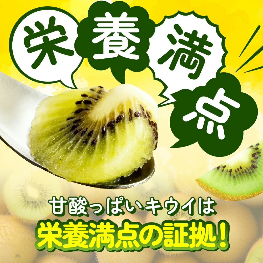 【ふるさと納税】【予約受付】キウイフルーツ(グリーン)3kg程度／2026年1月〜2月配送予定.AB128 サムネイル2