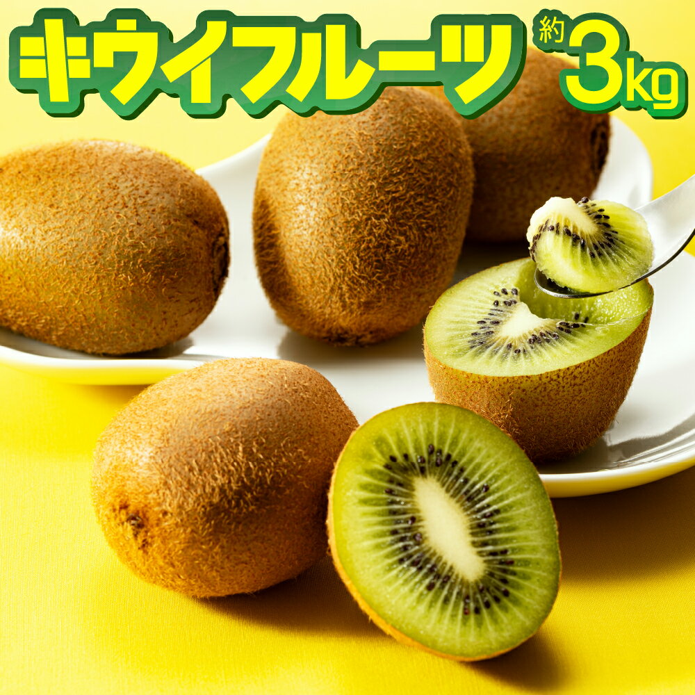 【予約受付】キウイフルーツ(グリーン)3kg程度／2026年1月〜2月配送予定.AB128