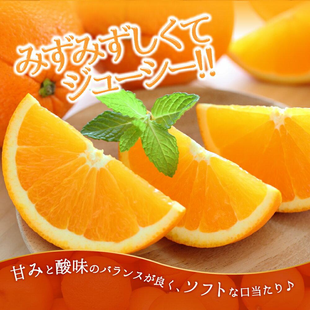 【ふるさと納税】ネーブル（3kg程度）／2025年12月〜2026年1月配送 ネーブルオレンジ 柑橘 フルーツ 旬 季節 果物.AA077 サムネイル3