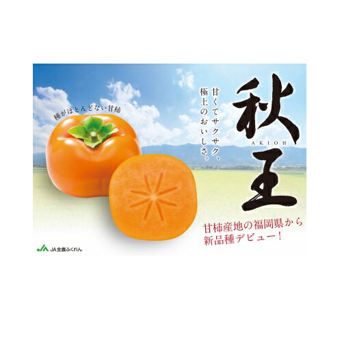 九州・福岡より直送．秋の王様・新ブランド柿『秋王』約1.75kg／2025年10月〜11月発送予定 種なし 甘柿 フルーツ【秋王】 .AB146