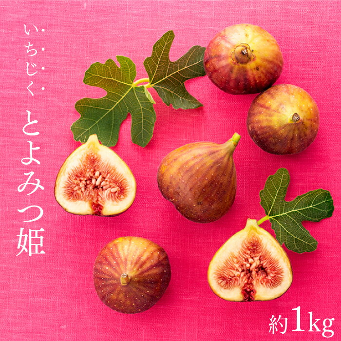 九州・福岡フルーツ王国より直送.いちじく（とよみつ姫）約1kg／2026年8月～9月配送【とよみつひめ】.A1361