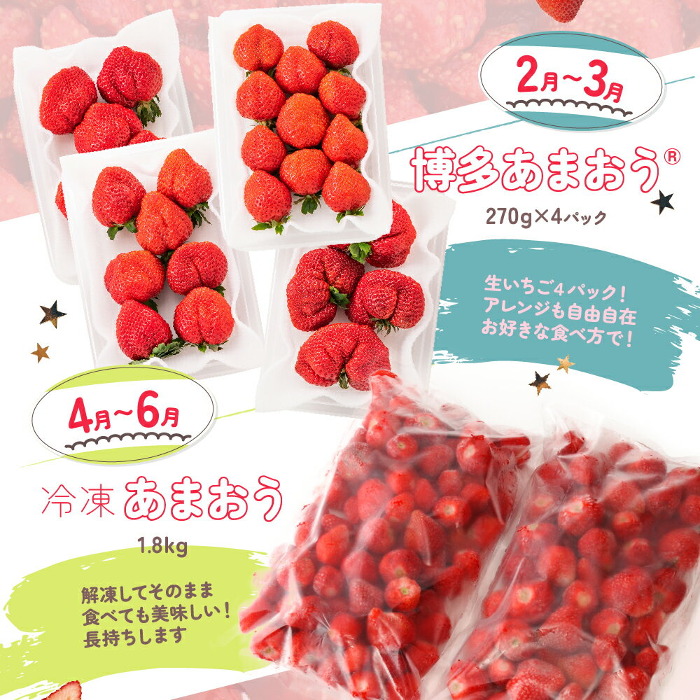 【ふるさと納税】【あまおうが大好きなアナタへ】あまおう定期便（全4回）いちご 苺 冷凍 ジュース ジャム アイス シャーベット .DH005 サムネイル3