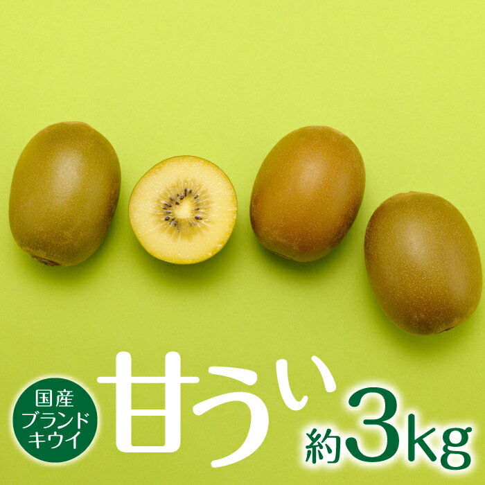 九州・福岡フルーツ王国より直送.人気の新ブランドキウイフルーツ（甘うぃ）約3kg／2025年11月配送 限定 美容 健康 ビタミンC 旬 果物【甘うぃ】 .AB135
