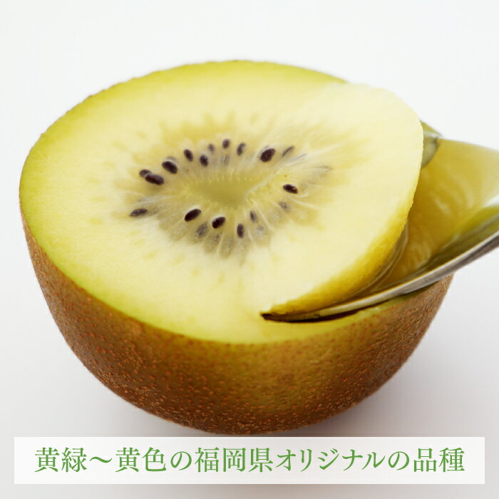【ふるさと納税】九州・福岡フルーツ王国より直送.人気の新ブランドキウイフルーツ（甘うぃ）約3kg／2025年11月配送 限定 美容 健康 ビタミンC 旬 果物【甘うぃ】 .AB135 サムネイル2