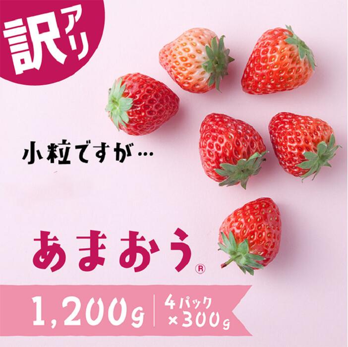 【訳あり.限定品】あまおう.小粒ですが約1200g（先行受付．2026年1月以降発送） いちご 苺 高級 フルーツ【あまおう】.AB380