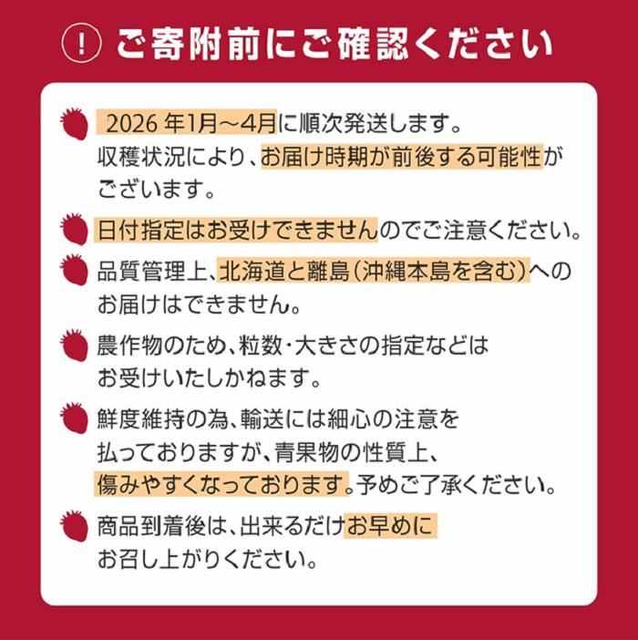 【ふるさと納税】【訳あり.限定品】あまおう.小粒ですが約1200g（先行受付．2026年1月以降発送） いちご 苺 高級 フルーツ【あまおう】.AB380 サムネイル2