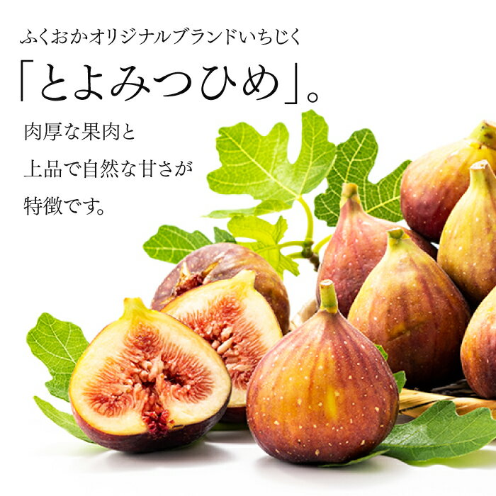 【ふるさと納税】あまおう約1,080gといちじく（とよみつひめ）約1kgのセット【あまおう】【とよみつひめ】.B385 サムネイル3