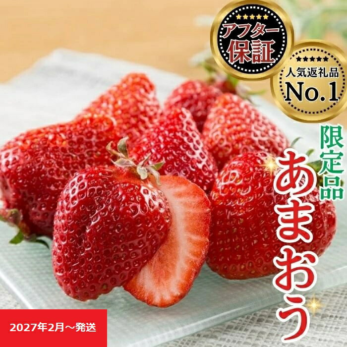 人気1位獲得謝礼品★限定品★あまおう約540g～1，080g いちご 苺　福岡（先行受付／2027年2月以降発送） 高級 フルーツ【あまおう】